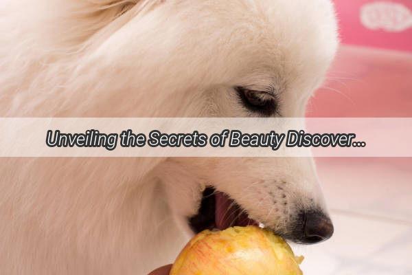 Unveiling the Secrets of Beauty Discovering the Most Adorable Dogs Around the World